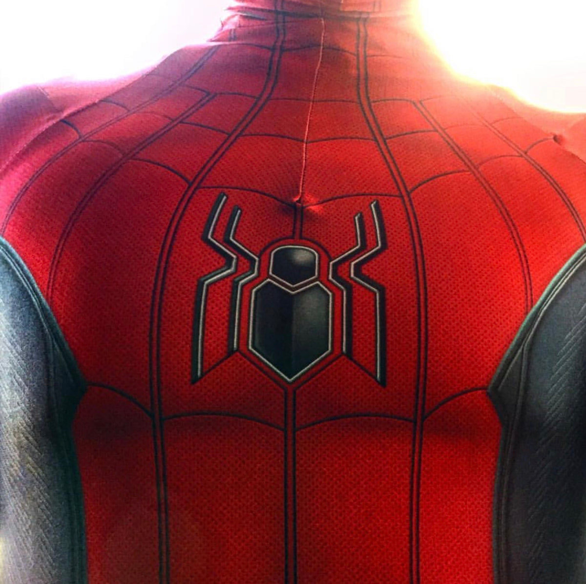 Person wearing a custom handmade Mcu Far From Home Suit