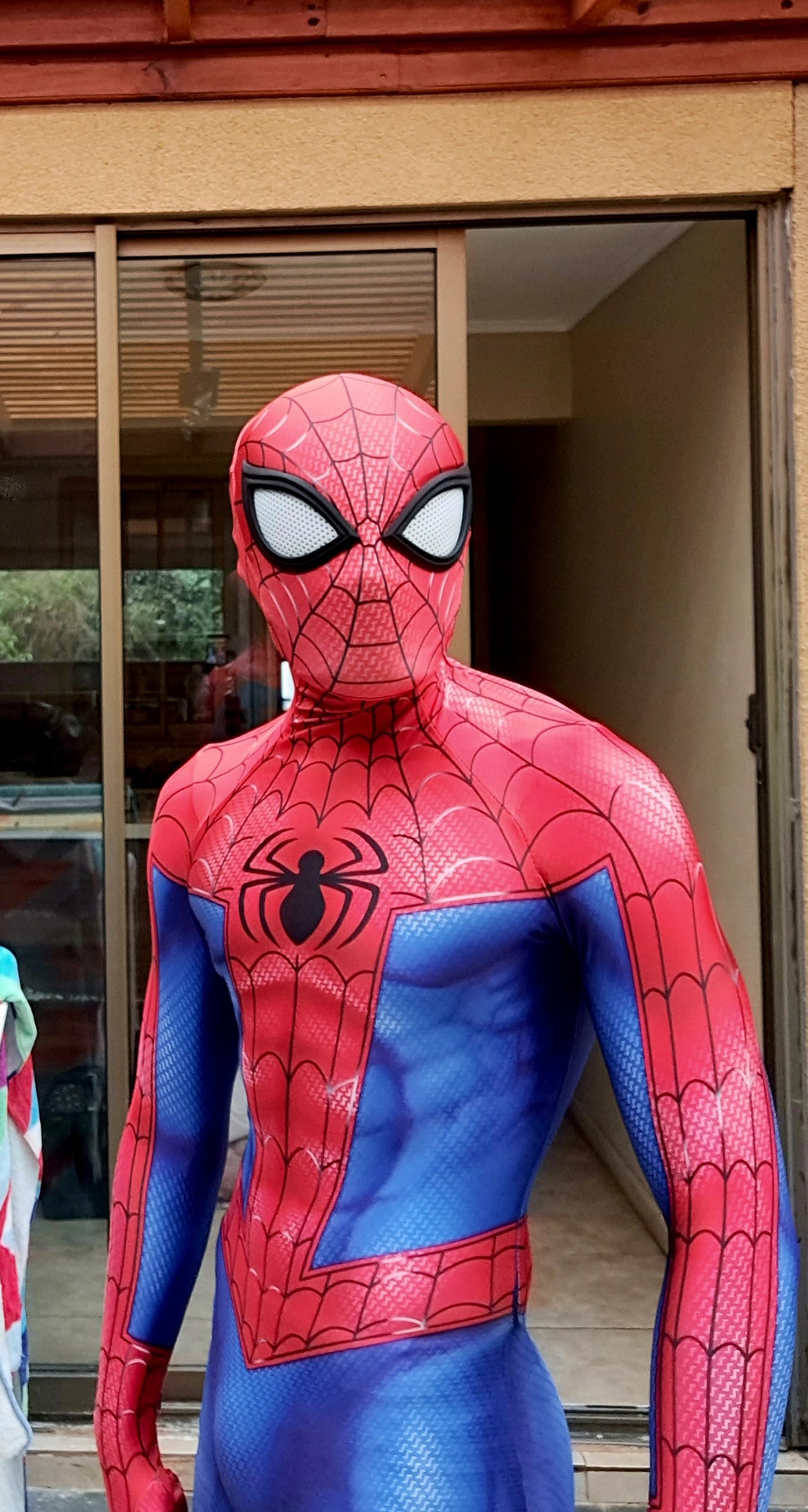 Person wearing a custom handmade Spideverse Peter Parker Spider-Man Suit